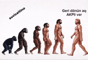 Mustafa Kemal Rte GIF