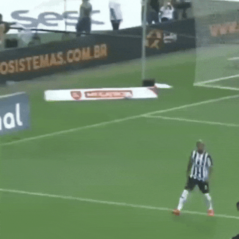 Galo Doido GIF