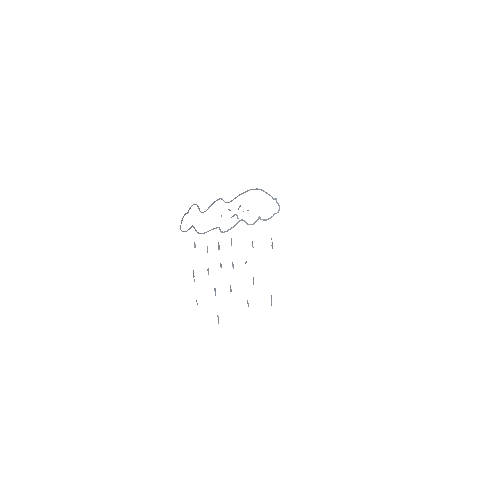 Rain Sticker