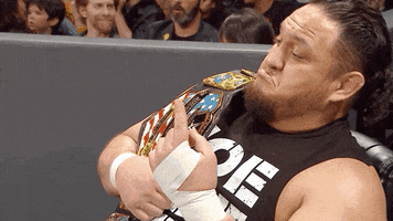 monday night raw wow GIF by WWE