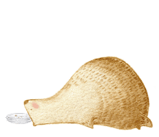 Sad Bird Sticker by BigBearAndBird