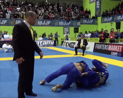 Bjj GIF