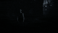 Jump Scare Gifs Get The Best Gif On Giphy