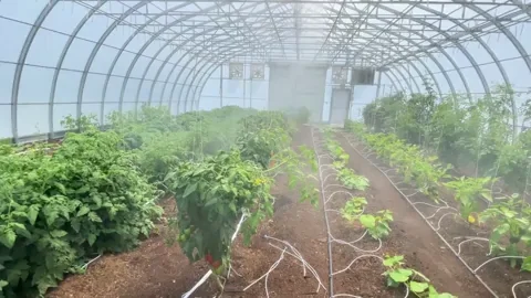 Greenhouse GIF by Oi