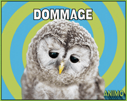 Sad Owl GIF by Loto-Québec