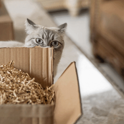 Net Zero Co. GIF