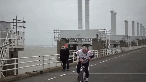 Animated GIF - Find & Share on GIPHY