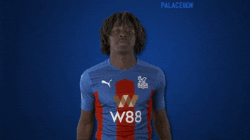 Premier League What GIF by CPFC