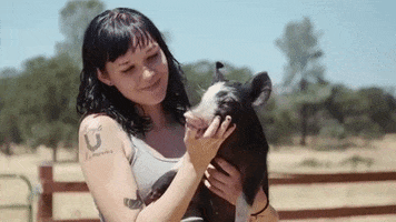 Vegan Pig GIF by Mercy For Animals