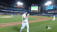 New York Mets Jacob Degrom GIF - New York Mets Jacob Degrom Ny