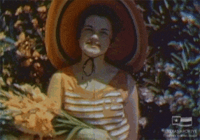 Beauty Queen Texas Archive GIF by Texas Archive of the Moving Image