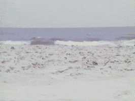 High Heels Beach GIF by Beastie Boys