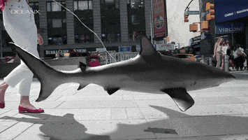 Walking Nyc GIF by OceanX