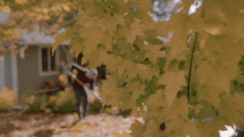 Falling Leaves Dancing GIF by Hallmark Channel