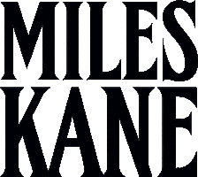 Can You See Me Now The Last Shadow Puppets Sticker by MilesKane