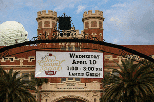 ice cream college GIF by Florida State University