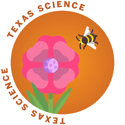 Ut Austin Longhorns Sticker by College of Natural Sciences, UT Austin