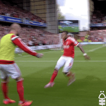 Football Championship GIF by Nottingham Forest