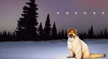 Remember Polar Bear GIF by colegioroth