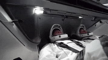 Worm Astronauts GIF by NASA