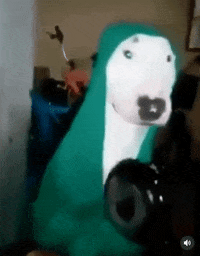 Perro Abandonado Gifs Get The Best Gif On Giphy