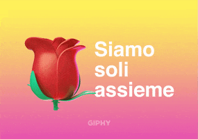 Siamo Soli Assieme GIF by GIPHY Cares