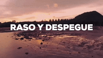 Dron GIF