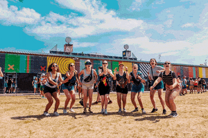 Rock Werchter GIF