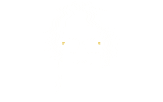 Flanko Sticker by Coss