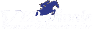 VER-Dinale - Verdener Hallenreitturnier Sticker
