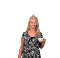 Van Wanrooij Bouw en Ontwikkeling Sticker