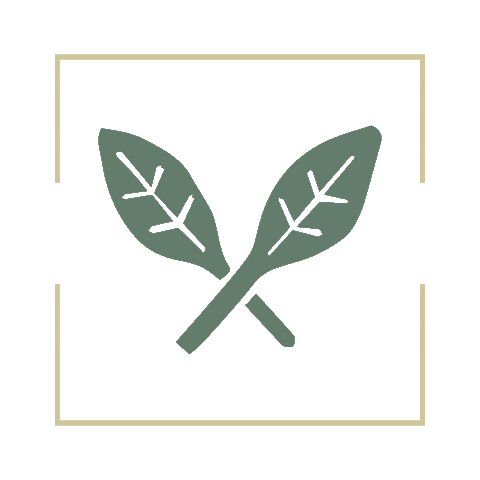 The Merchant Charleston Sticker