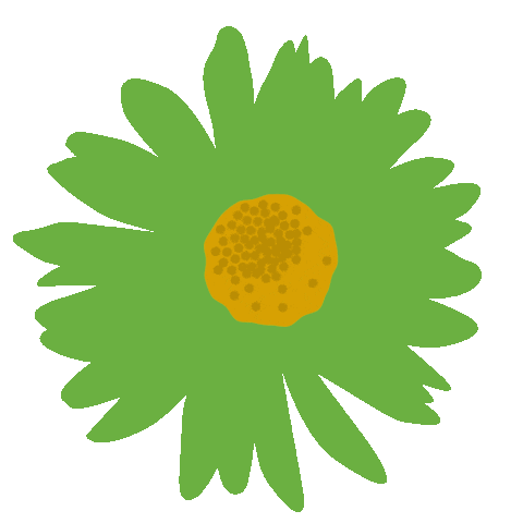 Sughero Slow Cafe Sticker