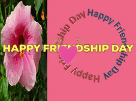 Happy Friendship Day Images GIF