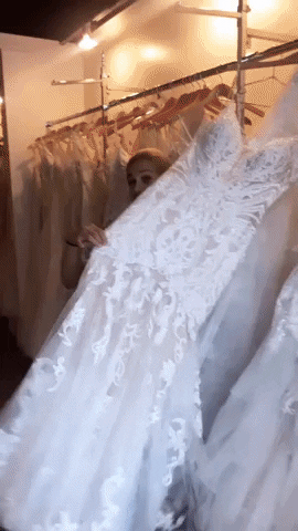 Brides of Florida GIF