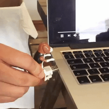Dog GIF