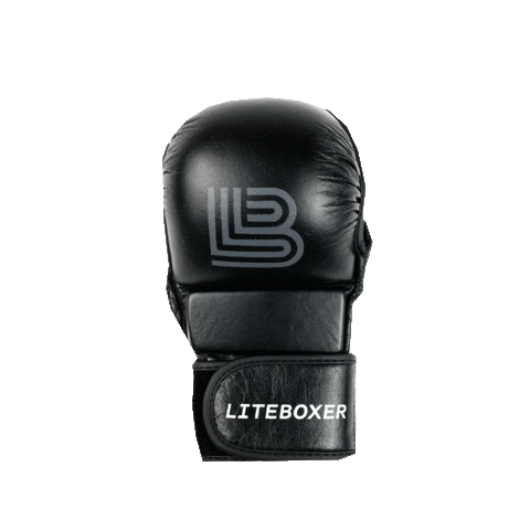 Liteboxer Sticker