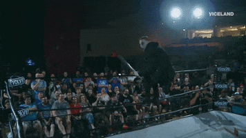 professional wrestling GIF by THE WRESTLERS