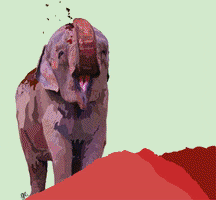 Free GIF