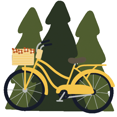 Bike Sticker
