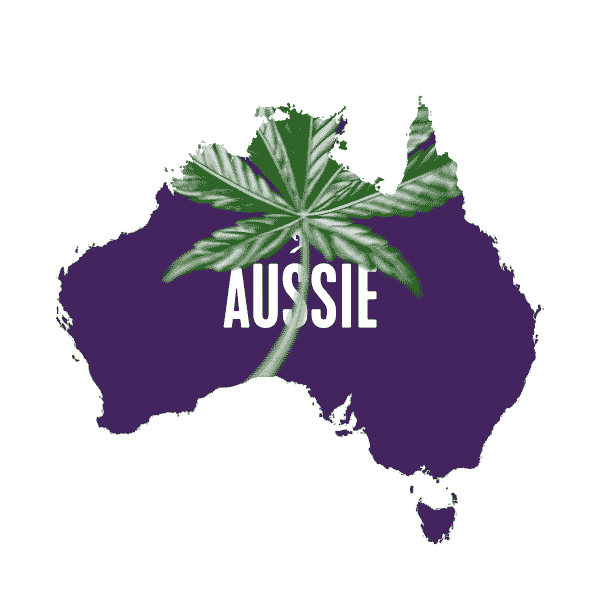 Hair Australia Sticker by aussiehaircare