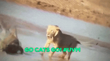 Uvm GIF