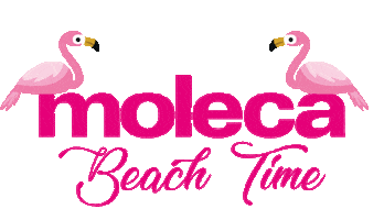 Beach Moleca Sticker by Aguima Shoes