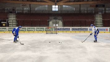 skillzcompany reaction hockey shooting shots GIF