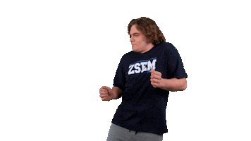 Zagreb School of Economics and Management Sticker