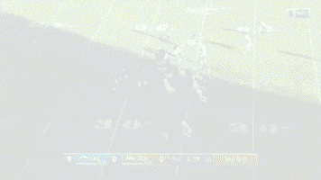 Nfl GIF