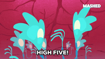 High Five Best Friends GIF by Mashed