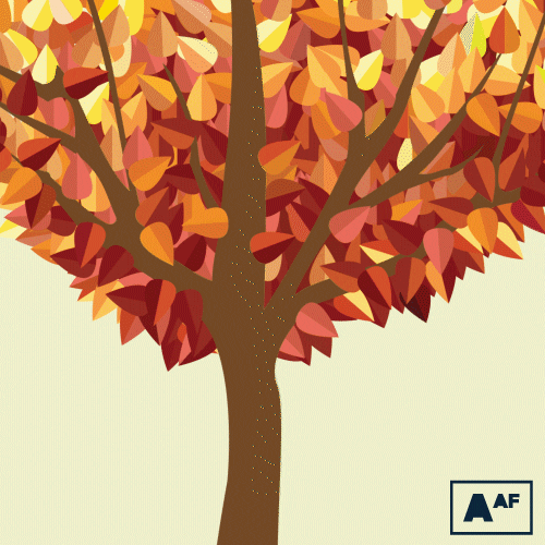 Falling Leaves Tree GIF by Abortion Access Front