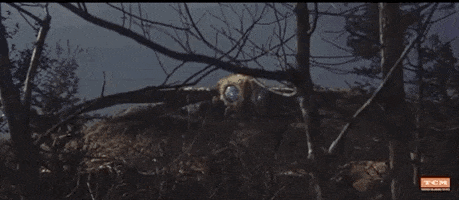 Scared Sci-Fi GIF by Turner Classic Movies