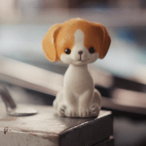 New Zealand GIF by Southern Cross NZ